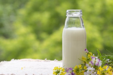 Bottle of milk in summer time