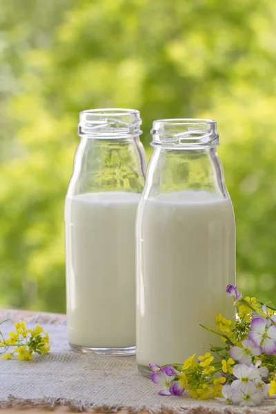 Bottle of milk in summer time — Stock fotografie