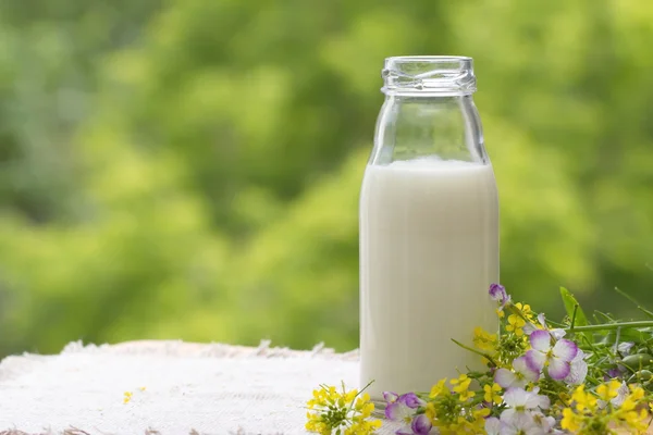 Bottle of milk in summer time — Stockfoto