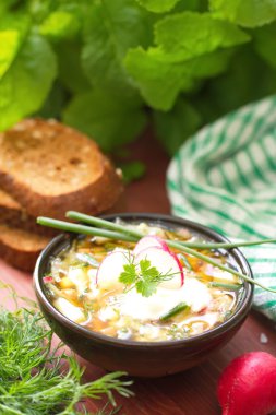 Rus soğuk çorba - okroshka