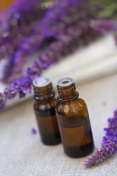 Lavender essential aroma oil — Stock Photo, Image