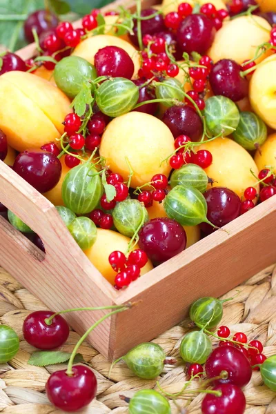 Koš z čerstvého ovoce v létě — Stock fotografie