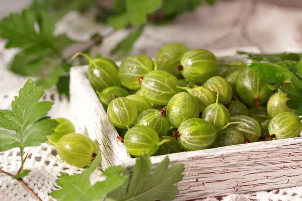 Gooseberries — Stock fotografie