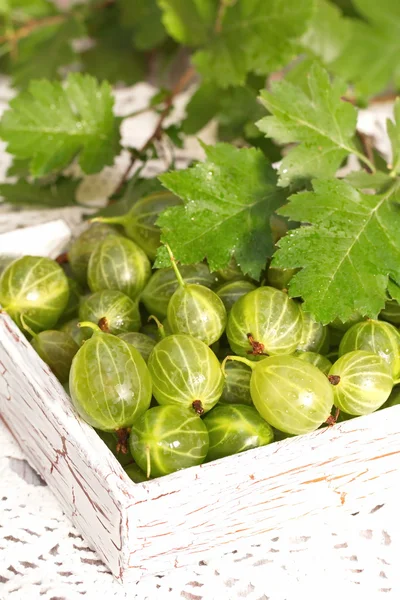 Stachelbeeren — Stockfoto