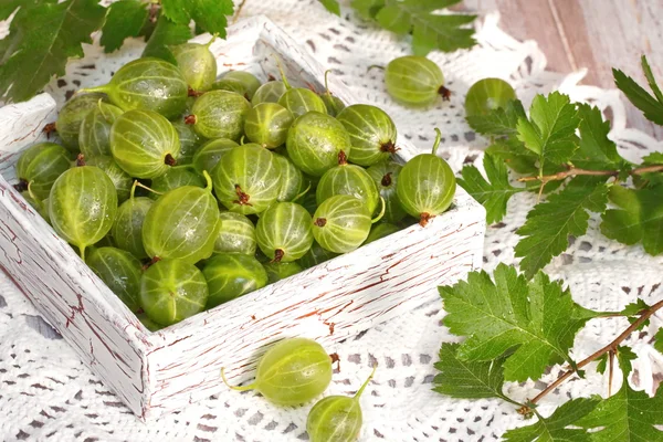 bektaşi