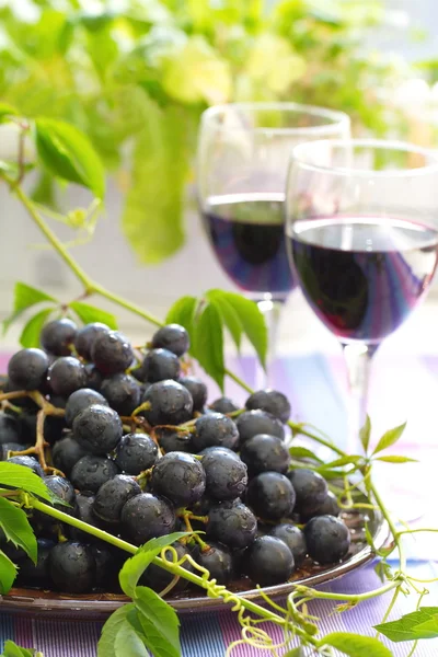 kırmızı üzüm ve şarap