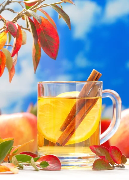 Horký nápoj jablečný džus, citron a skořicí v podzimní dekorace — Stock fotografie