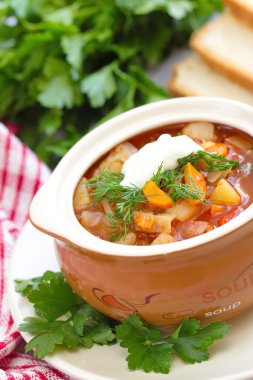 Geleneksel Rus Ukrayna sebze pancar çorbası çorba