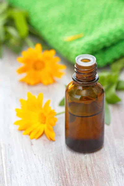 Calendula essential aroma oil — Stock Photo, Image