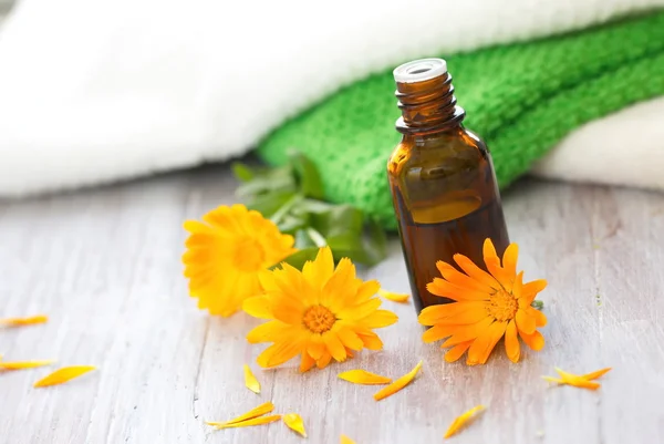 Calendula essential aroma oil — Stock Photo, Image