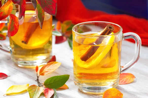 Horký nápoj jablečný džus, citron a skořice na podzim — Stock fotografie
