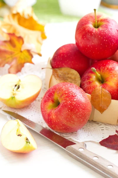 Rote reife Äpfel im Herbst — Stockfoto