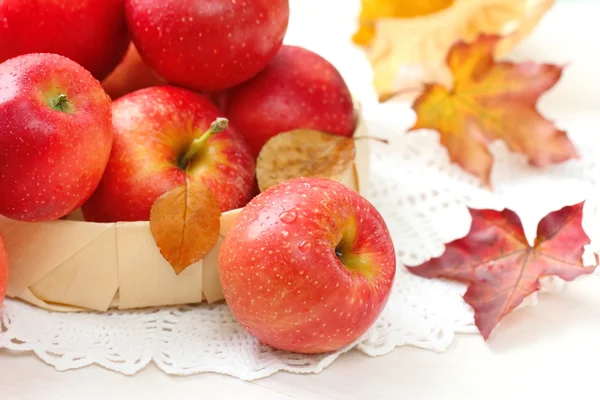 Rote reife Äpfel im Herbst — Stockfoto