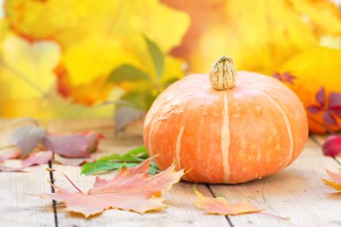 Tahta masadaki balkabağı