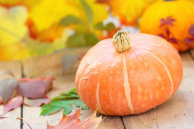 Tahta masadaki balkabağı