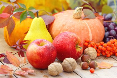 Autumn still life with assorted fruit, vegetables, berries and nuts