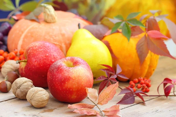 Осенний натюрморт с разнообразными фруктами, овощами, ягодами и орехами — стоковое фото