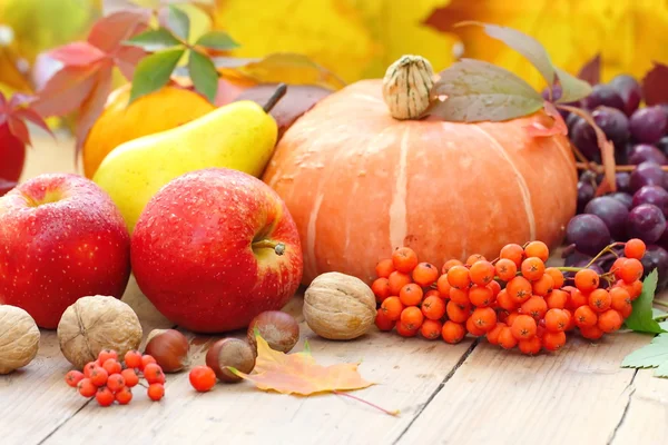 Herbst-Stillleben mit Obst, Gemüse, Beeren und Nüssen — Stockfoto