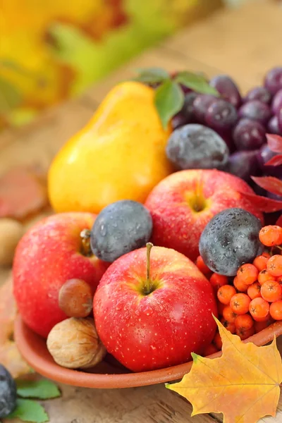 Bodegón de otoño con frutas, bayas y frutos secos variados — Foto de Stock