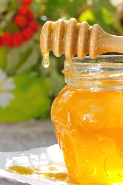 Сладкий мед в стакане — стоковое фото