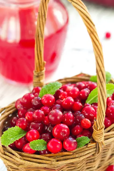Suco de cranberry e cranberry fresco — Fotografia de Stock