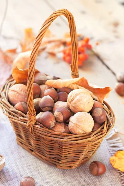 Орехи и филберты в корзине — стоковое фото