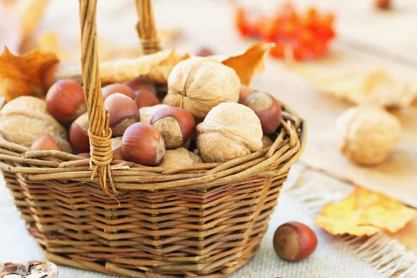 Walnüsse und Fiberts im Korb — Stockfoto