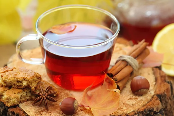 Natura morta autunnale con tazza di tè caldo su sfondo naturale — Foto Stock