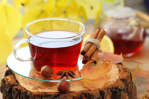 Podzimní Zátiší s šálkem horkého čaje na přirozené pozadí — Stock fotografie