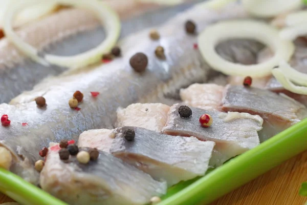 Filete de arenque con hierbas, cebolla y especias — Foto de Stock