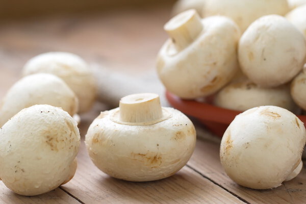 Сырые белые грибы
