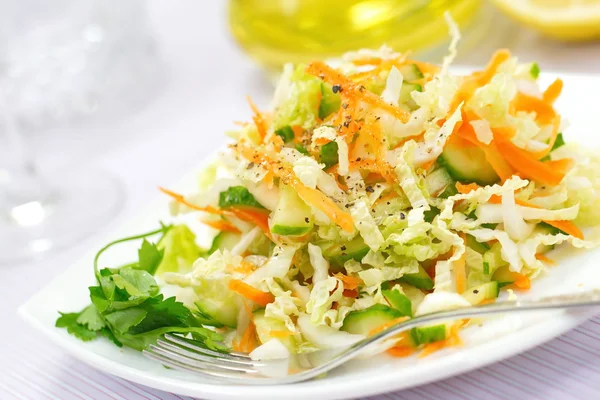 Ensalada de pepinos frescos, col y zanahorias — Foto de Stock