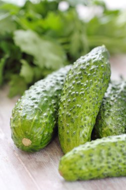 salata için malzemeler