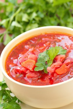 Rusya Ukrayna sebze pancar çorbası çorba