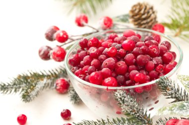 Bir kase taze donmuş kızılcık