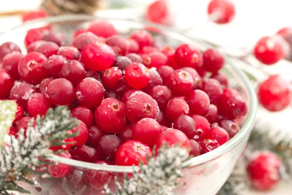 Cranberries congeladas frescas em uma tigela — Fotografia de Stock