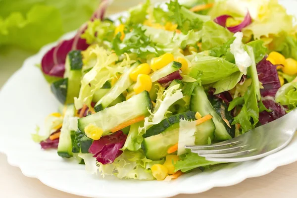 Ensalada de verduras frescas con aceite — Foto de Stock