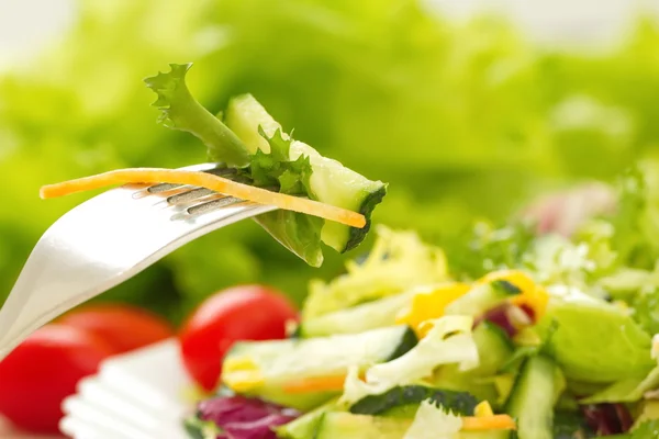 Comida Vegan. Salada feita de legumes frescos com óleo — Fotografia de Stock
