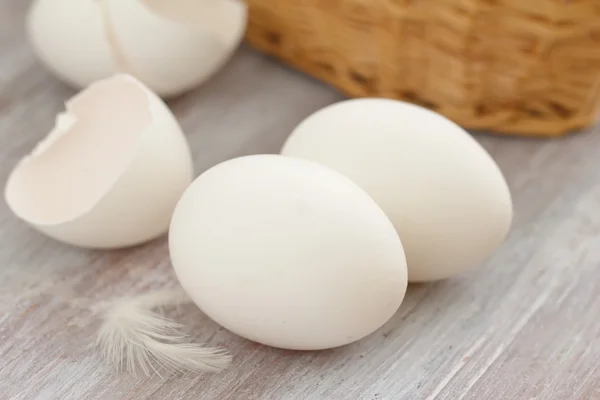 Белые куриные яйца — стоковое фото