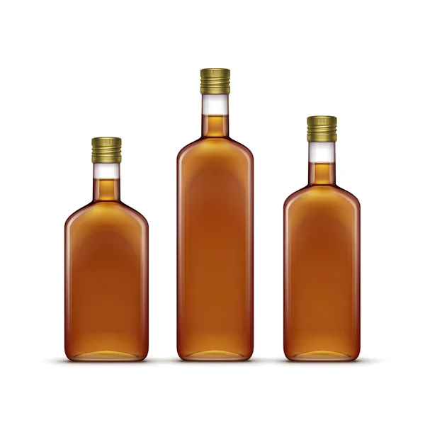 Alkohol alkoholické nápoje nápoje Whiskey slunečnicový olej olivový skleněné láhve — Stockový vektor