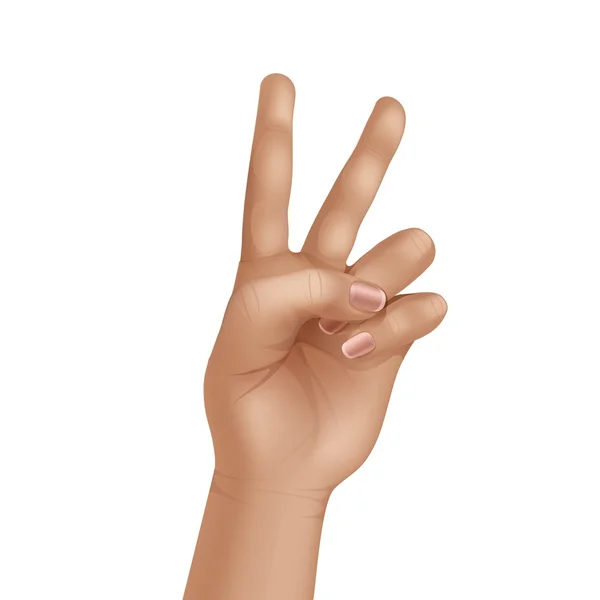 Vector Victory Peace Sign Gesture Hand Isolated on White Background — Stock Vector