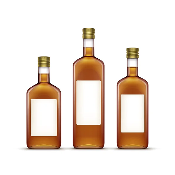 Wektor zestaw napojów alkoholowych alkohol pije whisky szklane butelki — Wektor stockowy