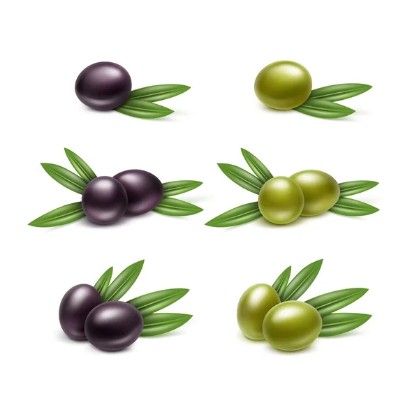 Conjunto vectorial de ramas de aceitunas negras y verdes con hojas aisladas sobre fondo blanco — Vector de stock