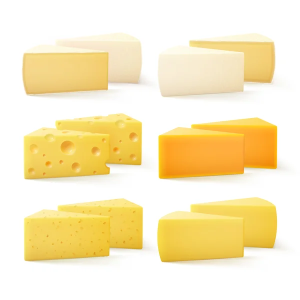 Vector conjunto de piezas triangulares de varios tipos de queso suizo Cheddar Bri Camembert parmesano primer plano aislado sobre fondo blanco — Archivo Imágenes Vectoriales