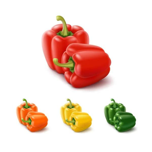 Colored Yellow Green Orange Red Sweet Bulgarian Bell Peppers, Paprika — Stock Vector