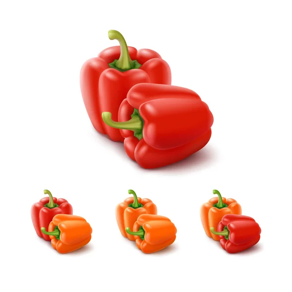Gekleurde oranje rode zoete Bulgaarse paprika, Paprika geïsoleerd — Stockvector