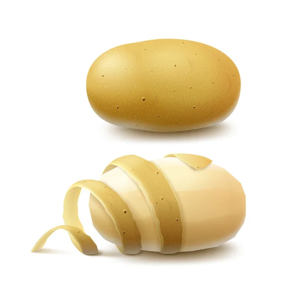 Vektor-Set aus neuen gelben, rohen, ungeschälten Kartoffeln und geschälten Kartoffeln mit gedrehter Schale Großaufnahme isoliert auf weißem Hintergrund — Stockvektor
