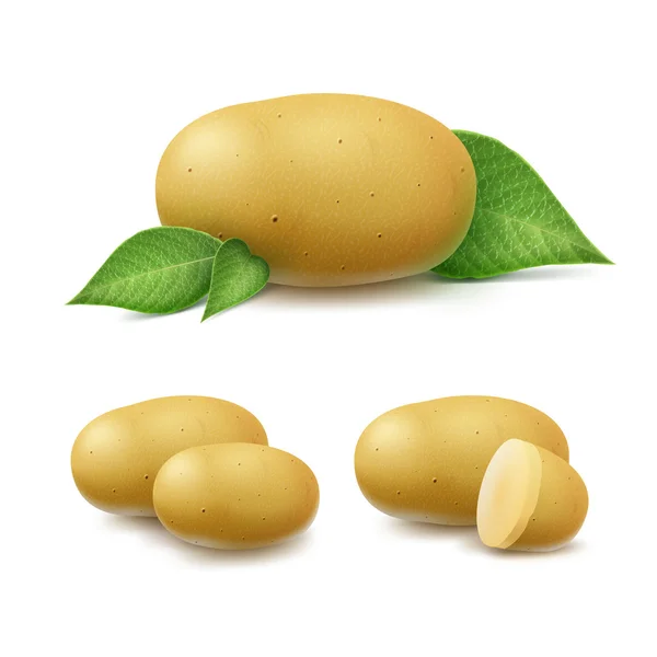 Set di patate non pelate e tagliate a fette con foglie — Vettoriale Stock