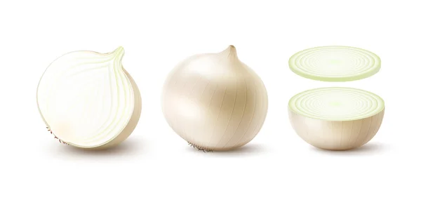 Conjunto de bulbos de cebolla blanca frescos enteros y cortados en rodajas — Vector de stock
