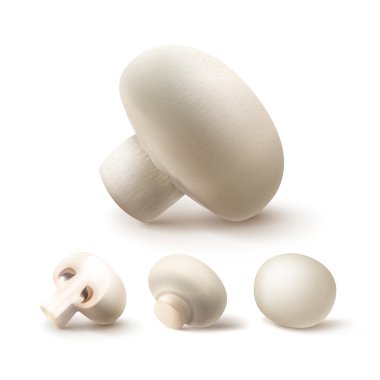 Beyaz arka plan üzerinde taze bütün ve dilimlenmiş yarısı White Portabello Agaricus petrol mantar yakın göl kenarında yukarı ayarla